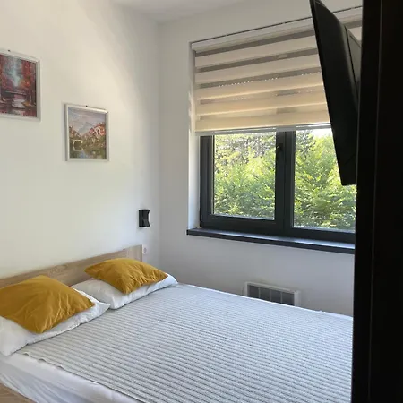 Zlatni Bor * Zlatibor