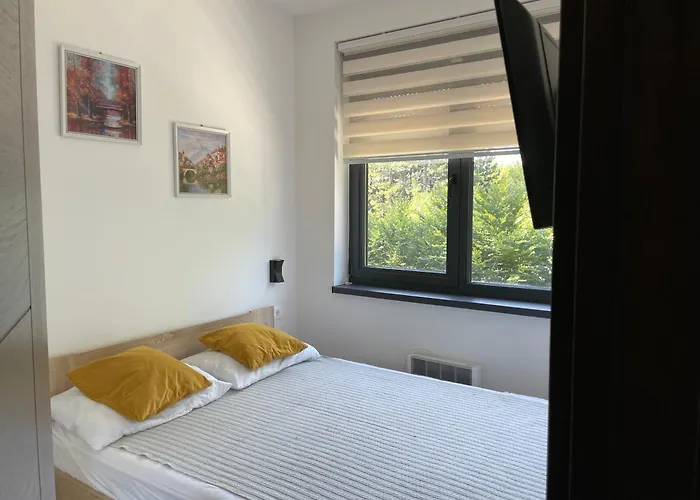 Zlatni Bor * 즐라티보